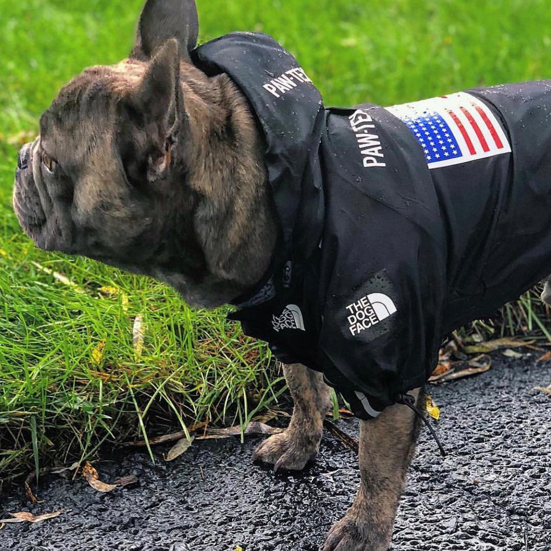 The Dog Face Windproof Waterproof Reflective Pet Cat Dog Jacket