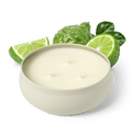 Green Tea Matcha 3-Wick Candle