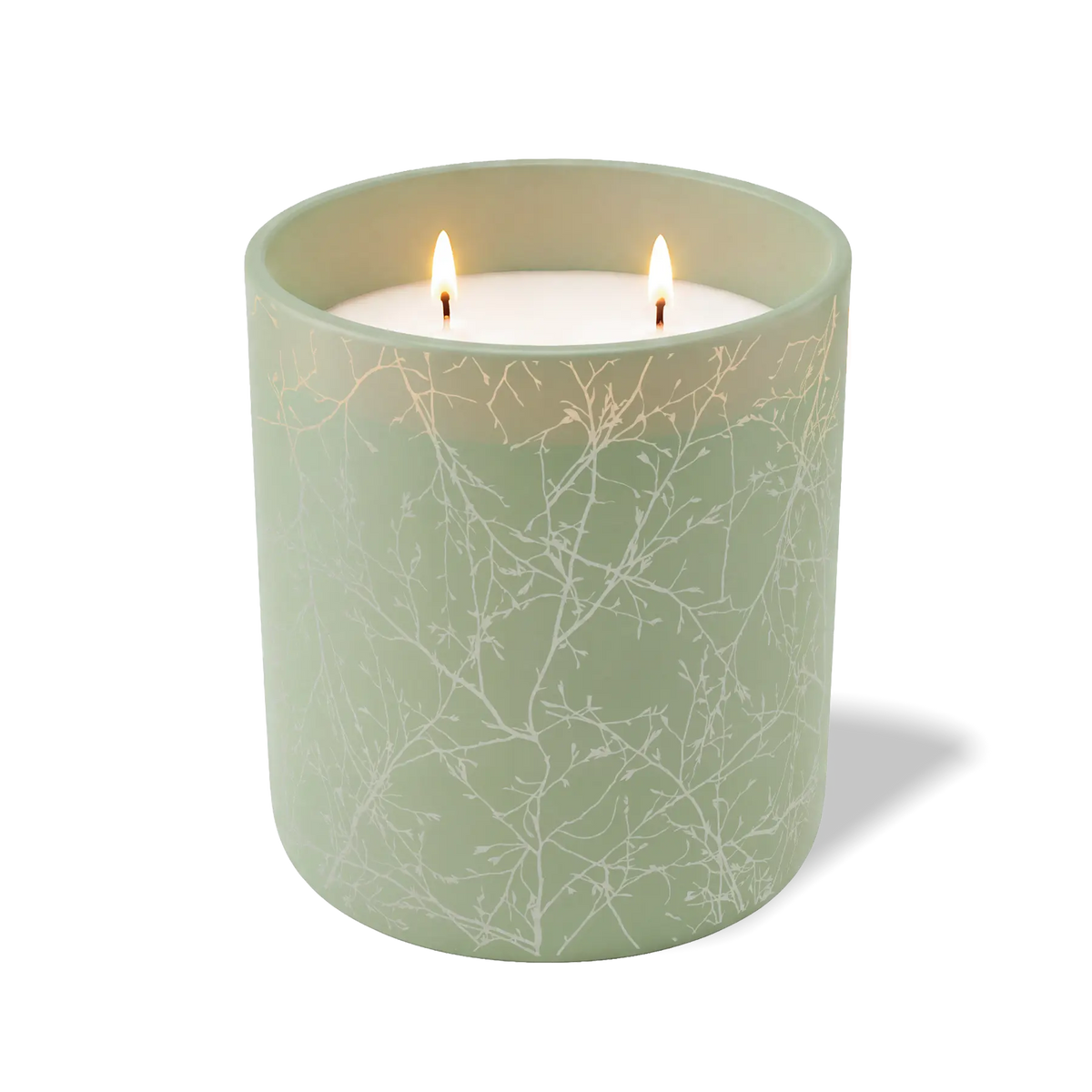 Branches | 12 oz Candle